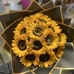 Sunflower 