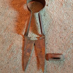 Antique Sheep Shears