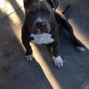 Jax