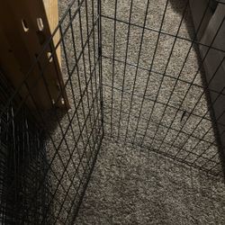 Doggy Gate 