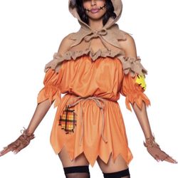 New Halloween Trickster Adult Xl $25
