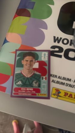 Panini rare Mexico sticker