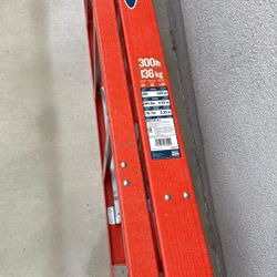 Werner 10ft Ladder 