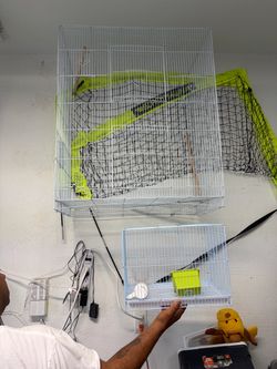 Bird cage