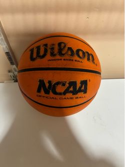 Wilson Evo Basketball