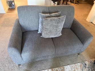 Gray 2-Seater Loveseat Couch