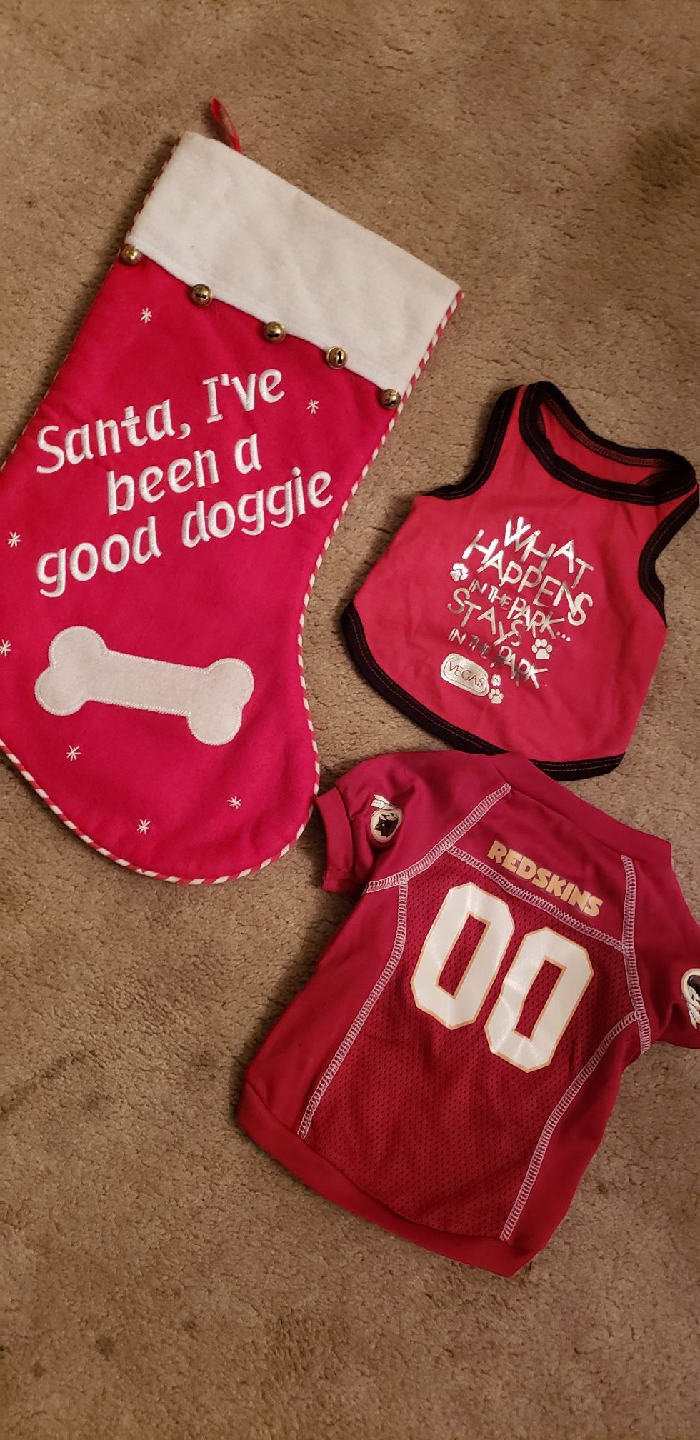 Dog stocking, redskin jersey & vegas shirt