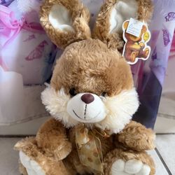 Bunny Rabbit With Sound “You Are My Sunshine” 14.5” New