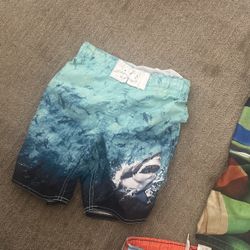 $5 Each Boy Swim Trunck’s