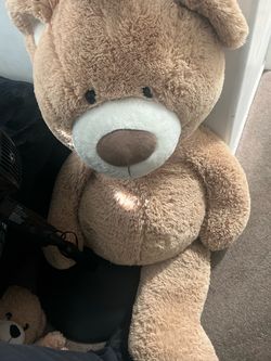 Huge bear