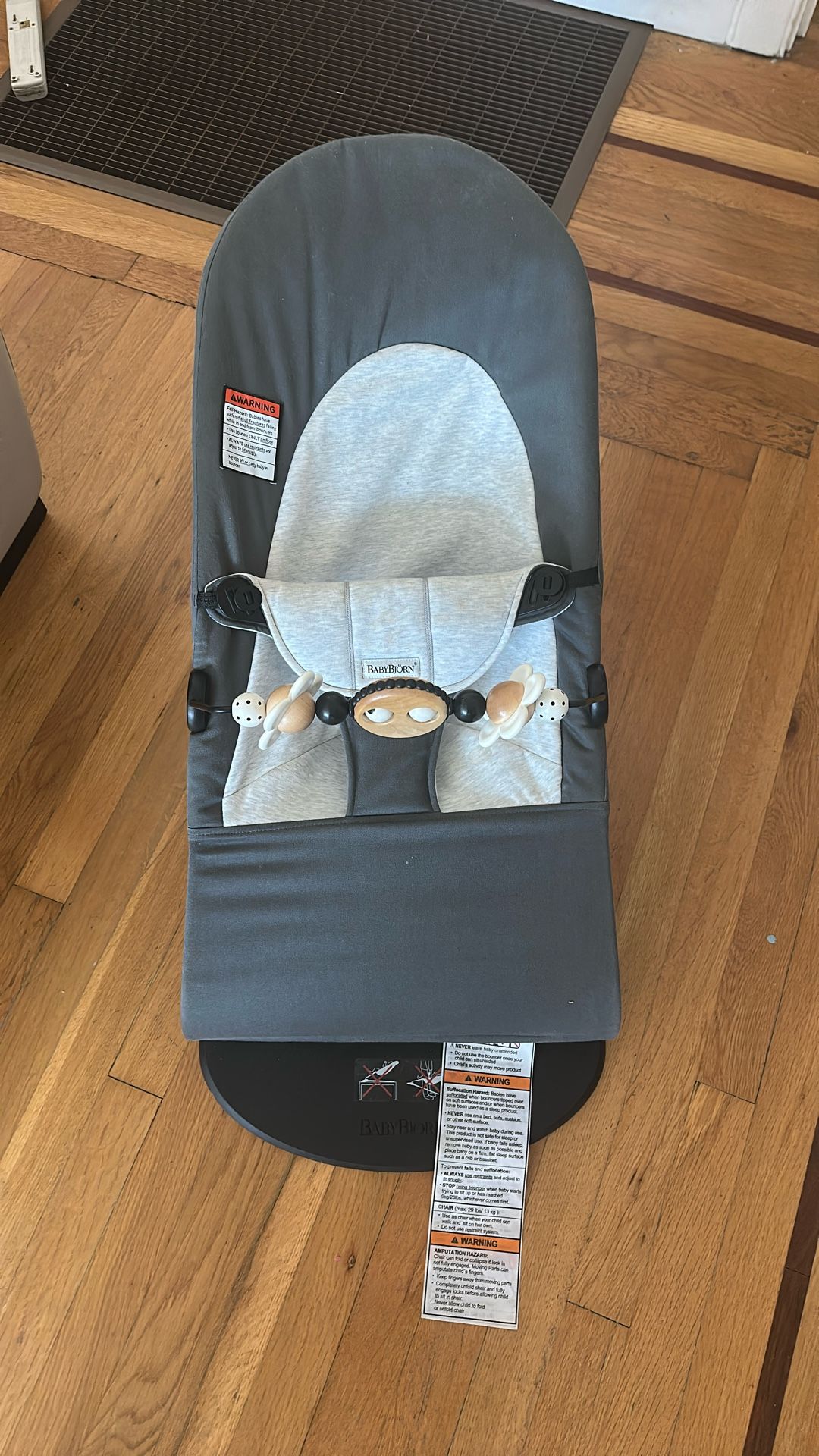 Babybjorn