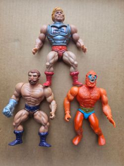 Masters of the universe lot