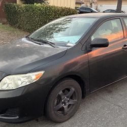 2009 toyota Corolla