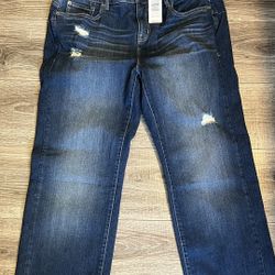 🔥 NEW WITH TAGS Torrid Bombshell Straight Jeans – Size 18 Regular 🔥