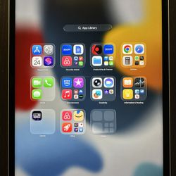 iPad Pro 12.9-inch 256 GB 5th Gen