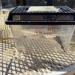 Small Terrarium