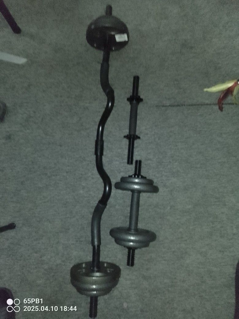 Ez Curl And Dumbbells