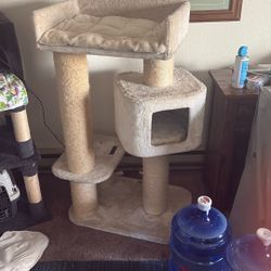 Cat Tree