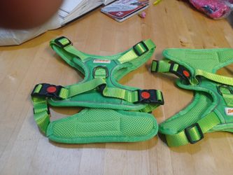 Dog Harness