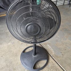 Fan 