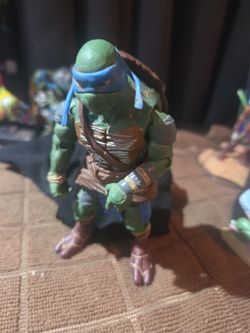 Ninja turtle