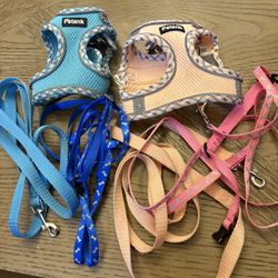 Dog Harnesses, Collars and Leash