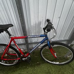 1990s Cannondale × Bud Light Limited-Edition Mountain Bike - Made in USA - Needs Chain