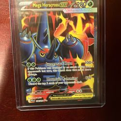 Pokemon Mega Heracross EX