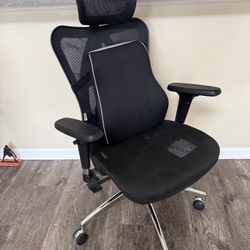 Official Chair 