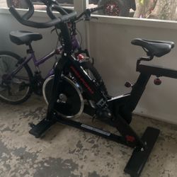 Pro Form Workout Bike