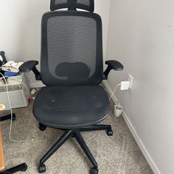 Magic Life Ergonomics Office Chair With Lumbar Support