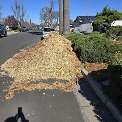 Free woodchips