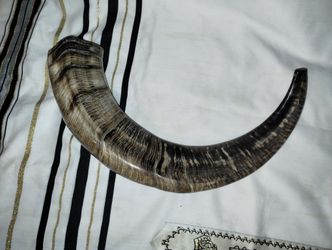 Shofar/ Aoudad/Exótico/Kosher