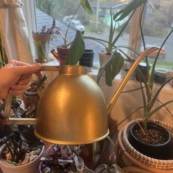 Gold Plant Water Despsor