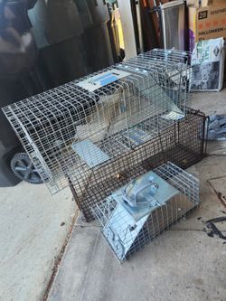 FREE 3 humane animal traps