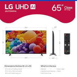 LG 65" TV