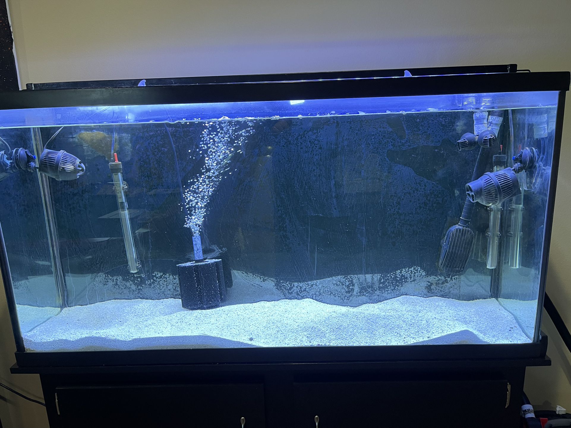 Best 60 Gallon Fish Tank With Stand And Supplies for sale in Sarver,  Pennsylvania for 2024