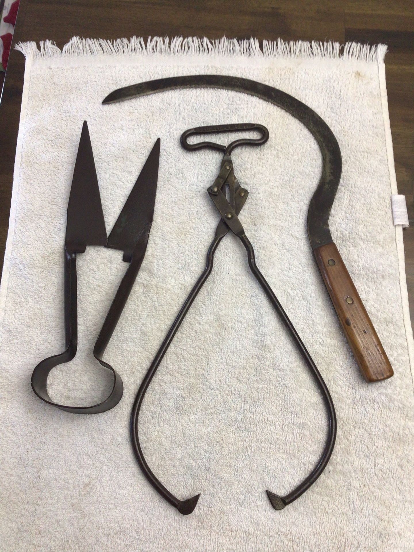 Antique Elgin Coal & Ice Ice Tongs Village Blacksmith Hand Sickle Steel Single Bow Sheep Shears Restored