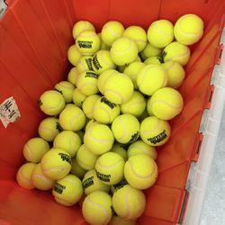 Durable Tennis Dog Toy Balls