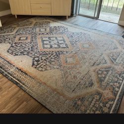 Large Area Rug- 7’10” x 10’