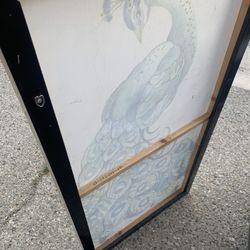 Painting Of A Peacock 
