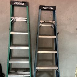 6ft Ladder 