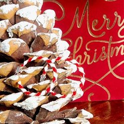 Enamel Candy Cane Hoop Earrings New