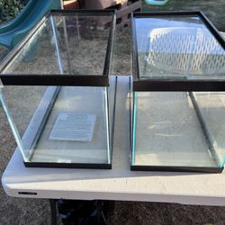 Fish Tanks, Supplies, Guppy Decor 