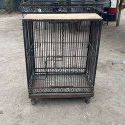 Bird Cage