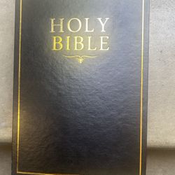 Fake Bible Safe