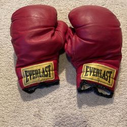 Boxing Gloves 