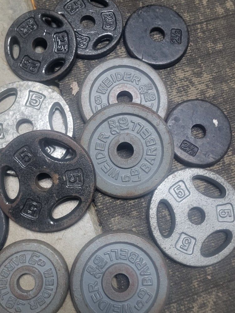 Gym Equipment $1 a Pound
