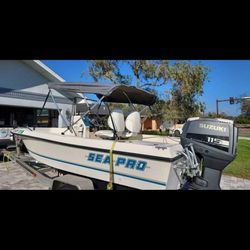 Ready for the water lowered price 17' Sea Pro