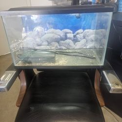 Fish Tank